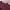 maroon shirt photo 4
