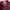 maroon shirt photo 3