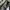 Dj I spark Mavic shoulder Bag photo 7
