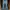 Levi's bootcut redloop photo 7
