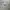 Adidas Real Madrid Jersey 2015 Vintage Jerseys