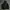 Obey Vintage Streetwear Harrington Jacket Pria Black