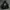 Obey Vintage Streetwear Harrington jacket Pria black photo 1