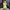 Bershka Casual Midi Dress Wanita Green