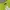Bershka Casual Midi dress Wanita green photo 2