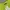 Bershka Casual Midi Dress Wanita Green