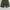  Cargo short pants photo 1