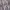Gap Puffer Vest Padded White Bulu angsa gelembung outdoor photo 8