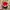 Vintage Streetwear Hat Pria red black photo 5