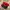 Vintage Streetwear Hat Pria red black photo 3