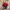 Vintage Streetwear Hat Pria Red Black