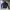  tracktop  photo 1