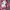 X-girl checkboard carpenter pants  photo 7