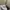 Vintage Streetwear Hat Pria gray photo 5