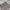 Olympique Lyon Third 25/26 Player issue photo 3