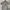 Olympique Lyon Third 25/26 Player issue photo 1