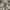 Realtree Streetwear Y2K Tracksuit Pria tan photo 2