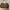 Brown Polkadot Tote Bag photo 3