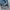 Fading Jeans Accent Selvede Vertigo Jeans photo 10