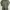 Vintage Y2K Parka Pria green photo 2