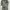 Vintage Y2K Parka Pria green photo 5
