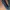 USS Arkansas CGN-41 Ship Hat photo 8
