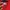 Nike Sportswear Track jacket Pria red photo 3