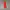 Tracksuit Adidas photo 1