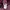 Splendid Statis Flannel Shirt 2 Pocket photo 7