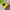 Vest rompi puffer 2 tone prospecs hooded like new  photo 2