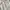Pull & Bear Casual Crop top Wanita white photo 2