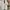 Pull & Bear Casual Crop top Wanita white photo 1