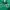 Adidas Sportswear Hoody Pria green photo 3