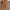 Carhartt Carpenter Pants photo 1