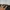 Parachute Pant Cargo Wide Unknow photo 6