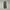 Parachute Pant Nike Golf photo 1