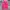 Hoodie Champion Magenta photo 1