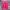 Hoodie Champion Magenta