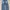 BAGGY JEANS BLACK WASH VINTAGE photo 5