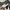 Clarks Busby Jazz Ox-Blood Leather photo 5