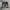 USALL Slim Straight Fading Jorts photo 1