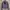 FREDA Paris Assymetric Jacket (NWT)