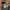 Topi Vintage Dad Hat Thomson Safaris photo 5