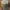 Topi Vintage Dad Hat Thomson Safaris photo 8