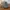 Topi Vintage Dad Hat Thomson Safaris photo 3