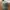 Topi Vintage Dad Hat Thomson Safaris photo 1