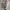 Carhartt Vintage Casual Bag Pria cream photo 5
