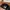 Topi Vintage Dad Hat All Day Grill photo 6