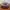 Topi Vintage Dad Hat Silent Floor photo 4