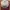 Topi Vintage Dad Hat Silent Floor photo 9
